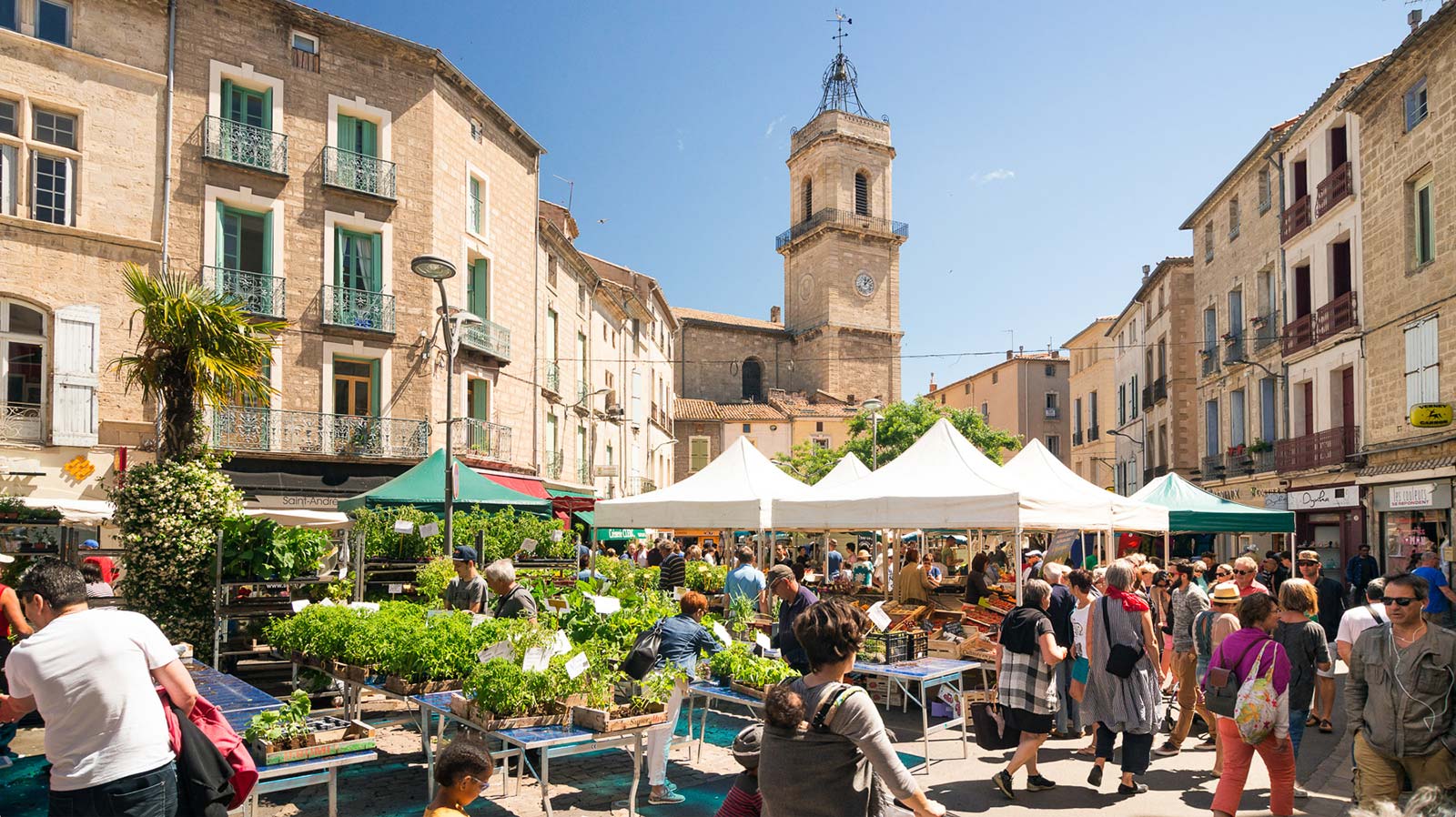 Le marché de Pézenas avec l'église en arrière-plan