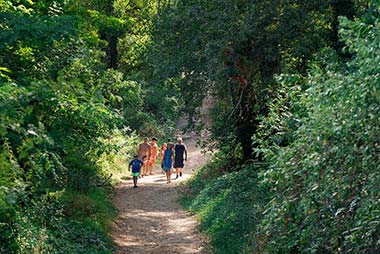 Path to the beach on the Hérault from Les Rivières campsite